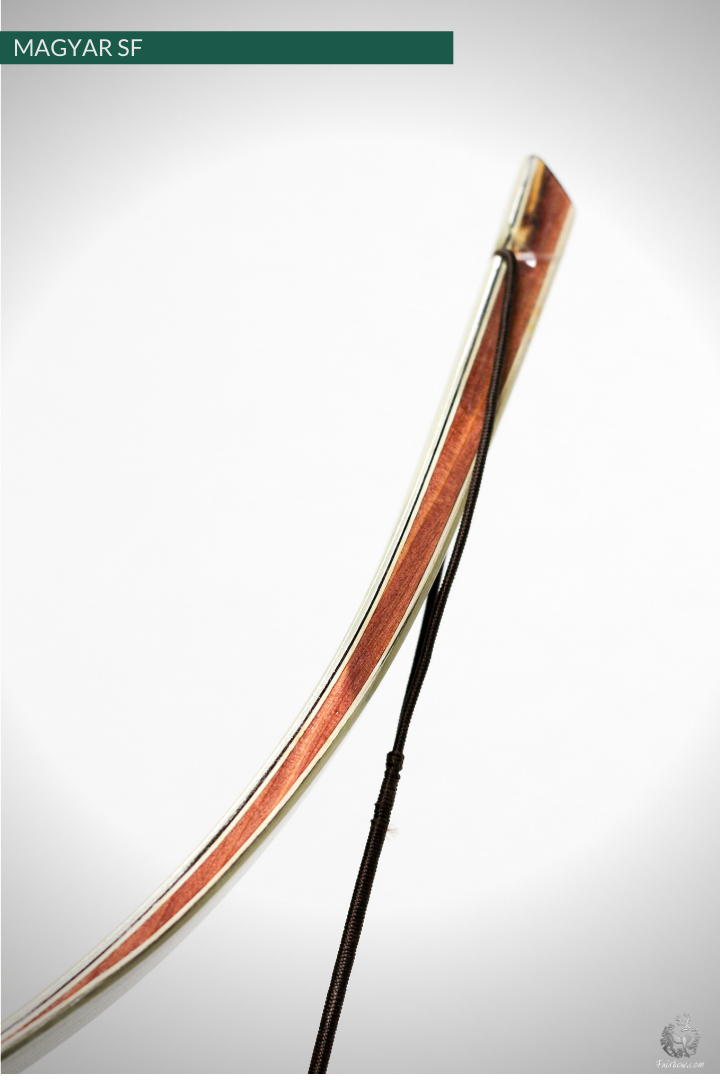 MAGYAR SF, LIMBA, MAPLE CORE VENEER AND SUPERCORE, HORSEBOW 32 LBS @ 28 INCH-Bow-Fairbow-Fairbow