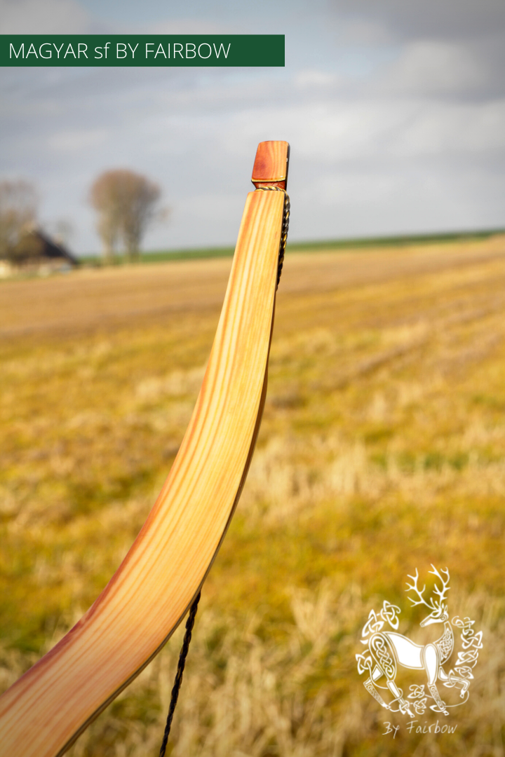MAGYAR SF, STRIPED PINE GLASS AND SUPERCORE, HORSEBOW 24 LBS @ 28 INCH-Bow-Fairbow-Fairbow