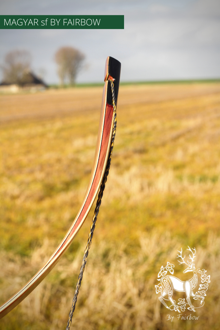 MAGYAR SF, STRIPED PINE GLASS AND SUPERCORE, HORSEBOW 24 LBS @ 28 INCH-Bow-Fairbow-Fairbow