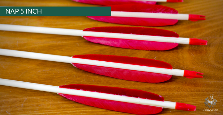 NAP (NEW AMSTERDAM) ARROW, SET OF 6-Arrow-Fairbow-nr 86 4 inch-Fairbow