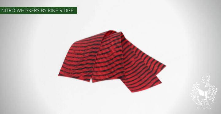 NITRO WHISKERS RED AND BLACK BY PINE RIDGE-string-Fairbow-Fairbow