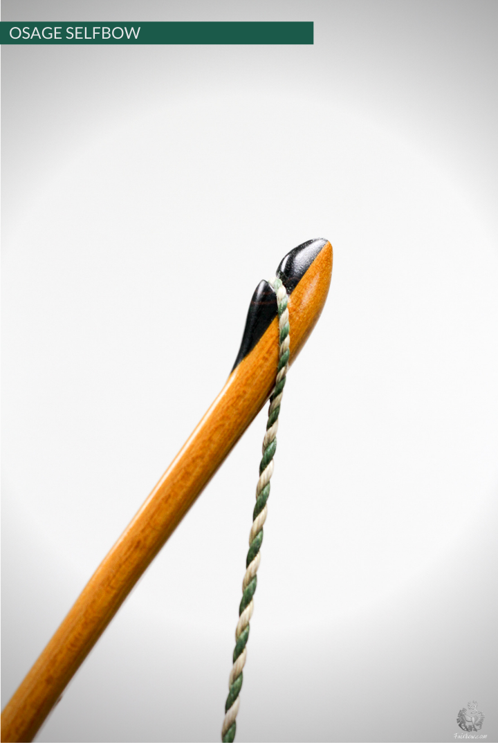 OSAGE SELFBOW, 66 INCH NTN, 55 LBS-Bow-Fairbow-Fairbow