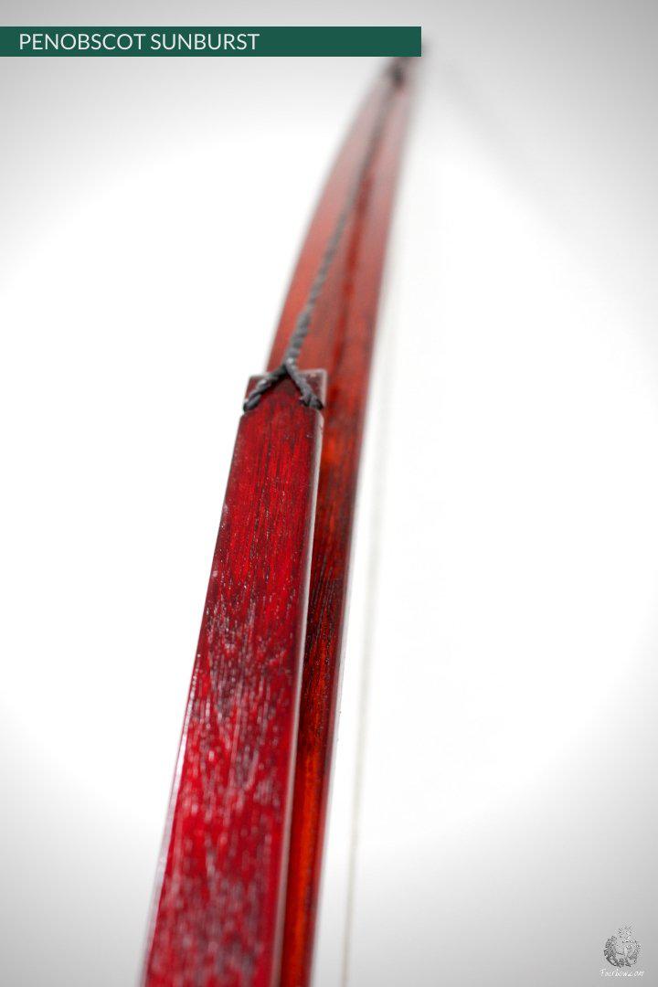 PENOBSCOT SUNBURST RED CUSTOM-Bow-Fairbow-Fairbow