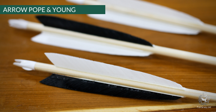 POPE AND YOUNG ARROW, SET OF 6-Arrow-Fairbow-nr 50 4 inch-Fairbow