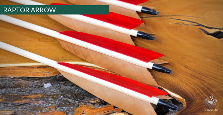 RAPTOR ARROW, SET OF 6-Arrow-Fairbow-nr 59 -5.5 inch-Fairbow