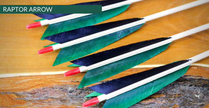 RAPTOR ARROW, SET OF 6-Arrow-Fairbow-nr 59 -5.5 inch-Fairbow