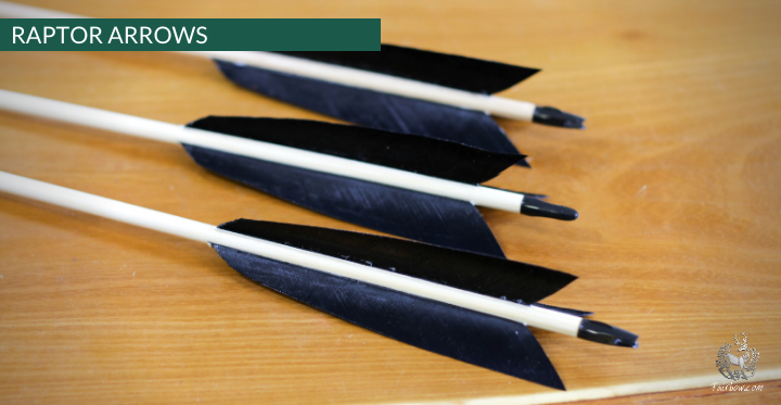 RAPTOR ARROW, SET OF 6-Arrow-Fairbow-nr 59 -5.5 inch-Fairbow