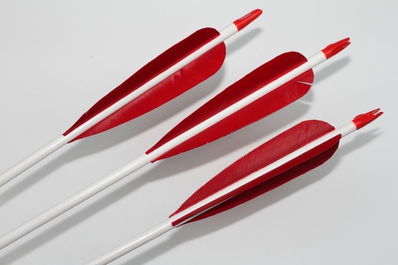 REBEL ARROWS, 4.1 INCH OR 6.2 INCH HIGH PARABOLIC FEATHERS WOODEN SHAFT PLASTIC NOCK SET OF 6-Arrow-Fairbow-Fairbow