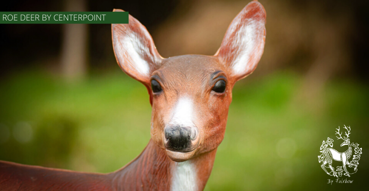 ROE DEER TARGET BY CENTERPOINT-target-Centerpoint-Fairbow