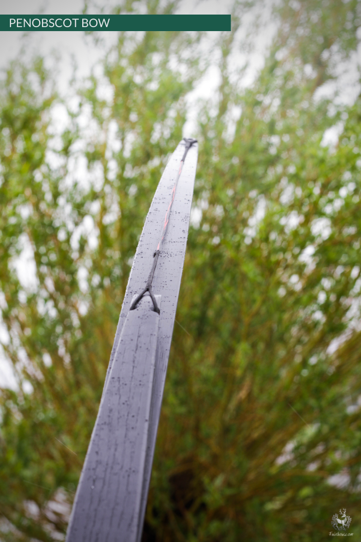 SELF HICKORY LONGBOW (AFB), THE PENOBSCOT IN BLACK CUSTOM-Bow-Fairbow-Fairbow