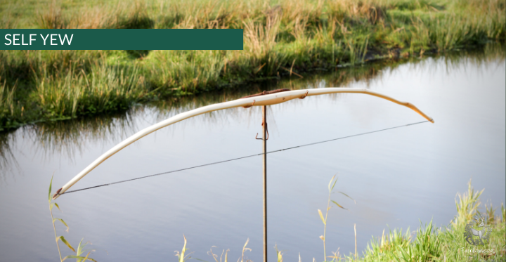 SELF YEW LONGBOW (AFB), 43 LBS @ 28 INCH, 70 INCH t-t-t-Bow-Fairbow-Fairbow