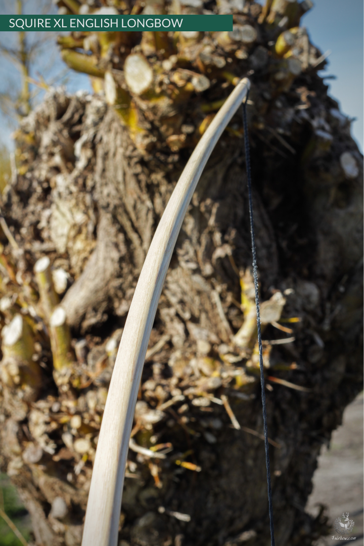 SQUIRE XL SHORT ENGLISH LONGBOW SELF ASH IN STOCK-Bow-Fairbow-25 lbs-Fairbow