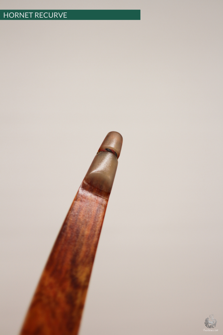 THE HORNET AN ASIAN RECURVE HORSEBOW 74 LBS @ 28 INCH-Bow-Fairbow-Fairbow