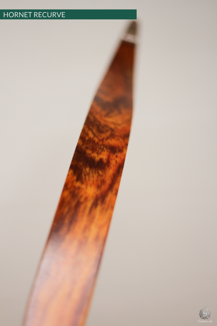 THE HORNET AN ASIAN RECURVE HORSEBOW 74 LBS @ 28 INCH-Bow-Fairbow-Fairbow