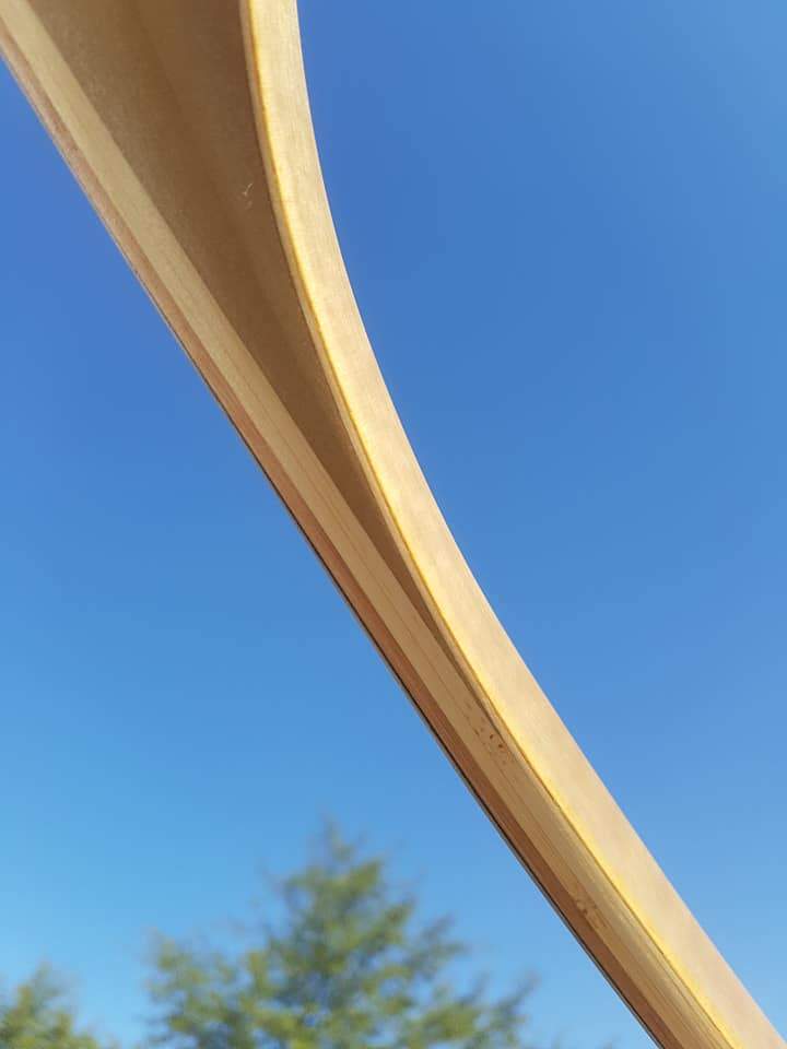 THE REBEL BOW WITH BACKSET 43@28 BLACK LIMBA-Bow-Fairbow-Fairbow