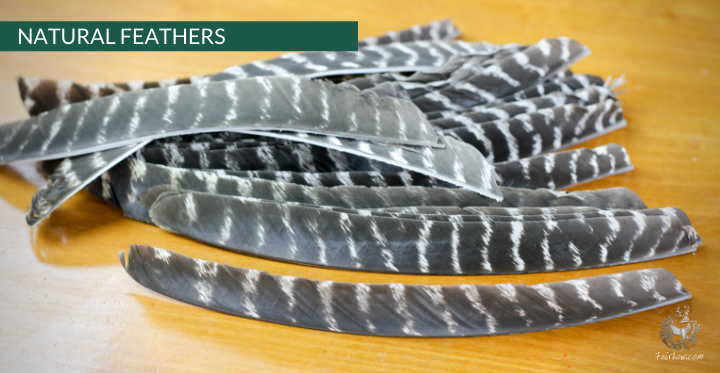 TURKEY FEATHERS NATURAL BARRED SOLD PER DOZEN RIGHT WING-Feathers-Fairbow-Natural not colored-Fairbow
