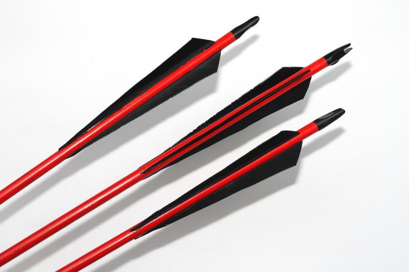 VERTEX ARROWS WOODEN PAINTED SHAFT, 5.5 INCH VERTEX FEATHERS SHAPE SET OF 6-Arrow-Fairbow-Fairbow