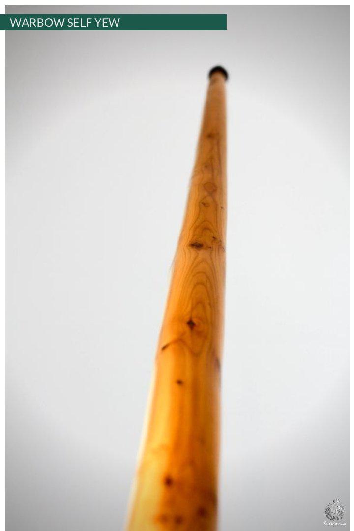 WARBOW SELF EUROPEAN YEW, 155@32-War Bow-Fairbow-Fairbow