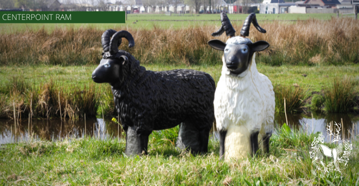 WHITE RAM TARGET BY CENTERPOINT-target-Centerpoint-Fairbow