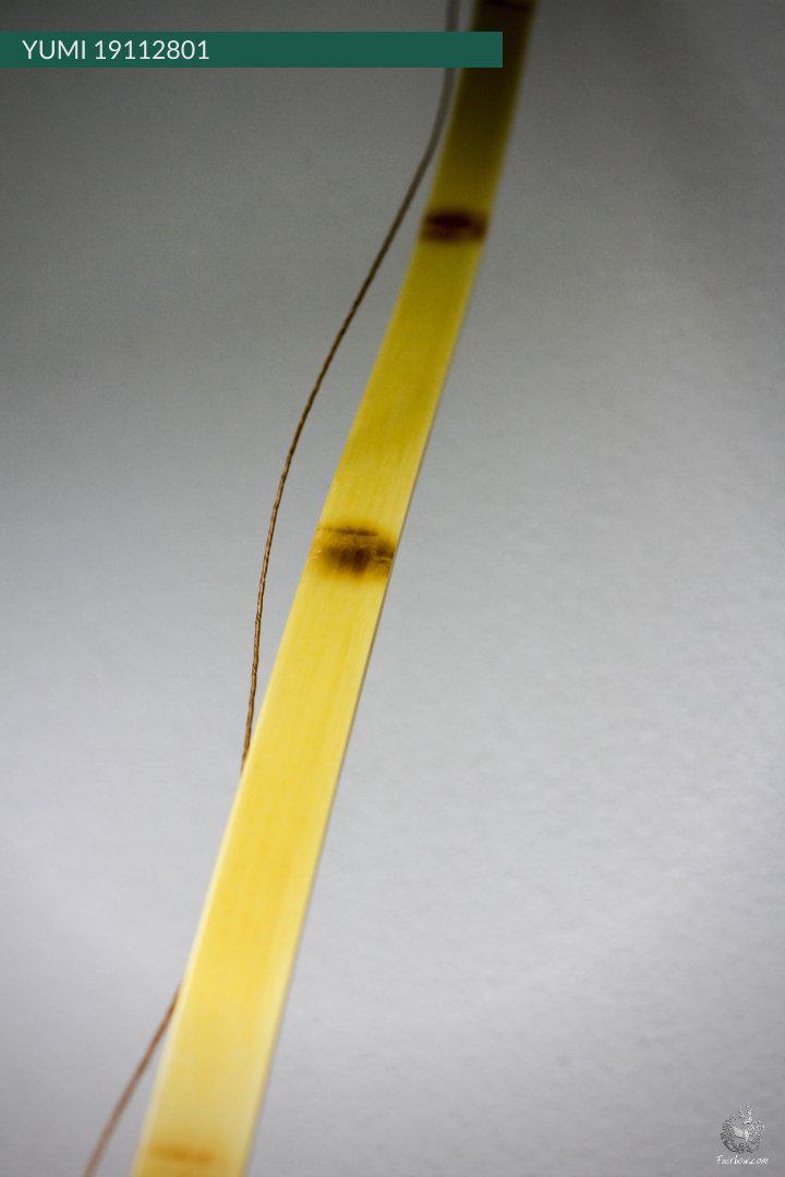 YUMI, BAMBOO WITH CLEAR FIBER GLASS YONSUN 11 KG-Japanese bow-Fairbow-Fairbow