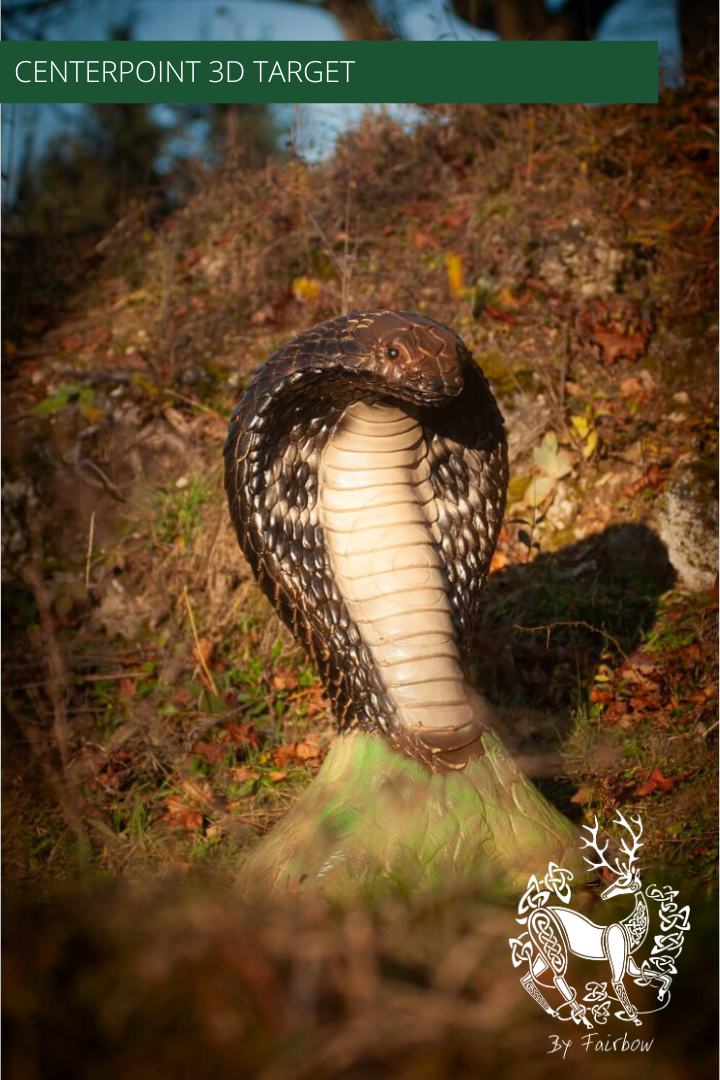 3D COBRA TARGET BY CENTERPOINT-3D target-Centerpoint-Fairbow