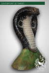 3D COBRA TARGET BY CENTERPOINT-3D target-Centerpoint-Fairbow