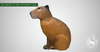 3D TARGET 3Di CAPIBARA TOKK-3d target-3Di-Fairbow