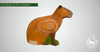 3D TARGET CAPIBARA BY SRT-3D target-SRT-Fairbow