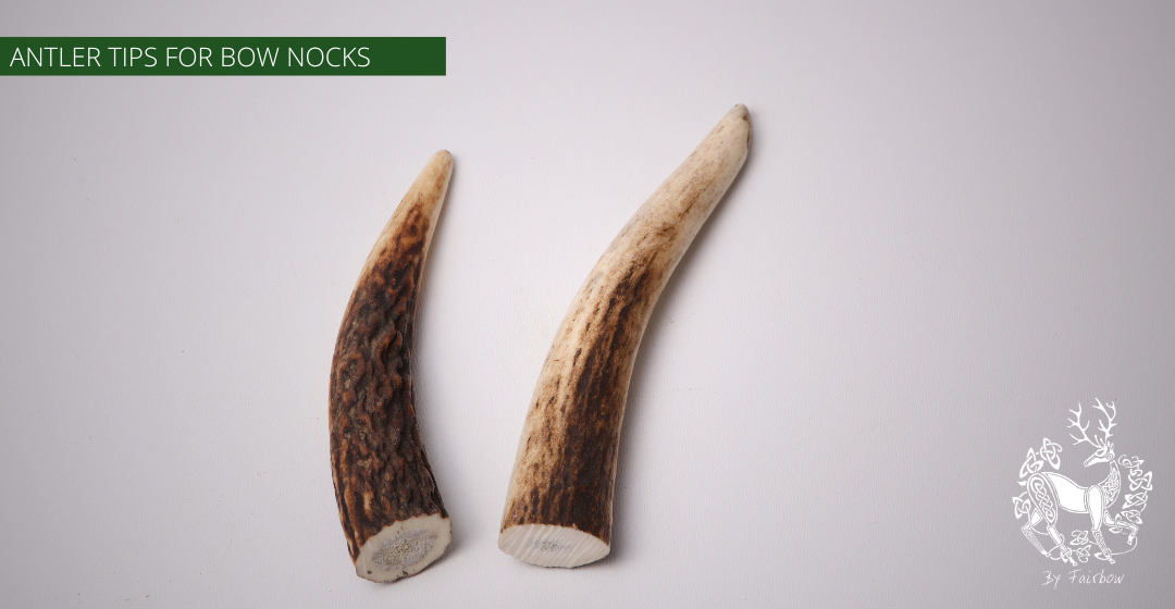 ANTLER TIPS FOR BOWMAKING-Horn tips-Fairbow-Fairbow