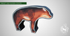 ELEVEN TARGET FOAM 2½D COYOTE-target-Eleven-Fairbow