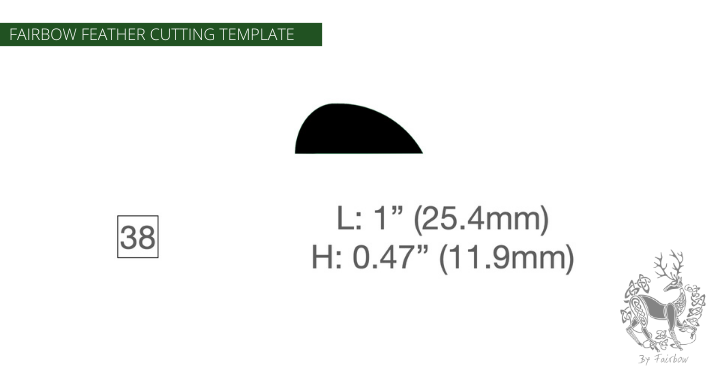 FEATHER CUTTING TEMPLATE PRE-GLUE (1-40)-Tool-Fairbow-Right wing-Parabolic 1" no.38-Fairbow