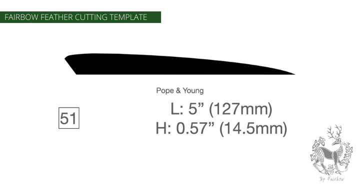 FEATHER CUTTING TEMPLATE PRE-GLUE (41-80)-Tool-Fairbow-Right wing-Classic pope and young 5" no.51-Fairbow