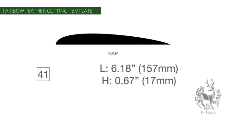 FEATHER CUTTING TEMPLATE PRE-GLUE (41-80)-Tool-Fairbow-Right wing-NAP no.41-Fairbow