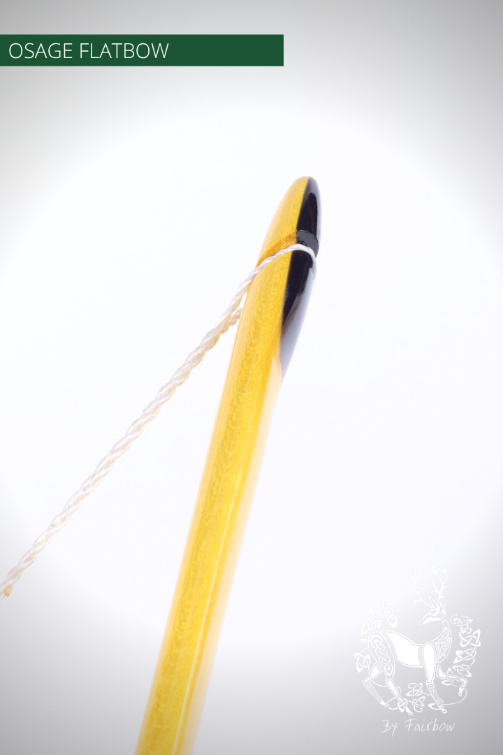 OSAGE SELFBOW, 66 INCH NTN, 36 LBS AMERICAN FLATBOW-Bow-Fairbow-Fairbow