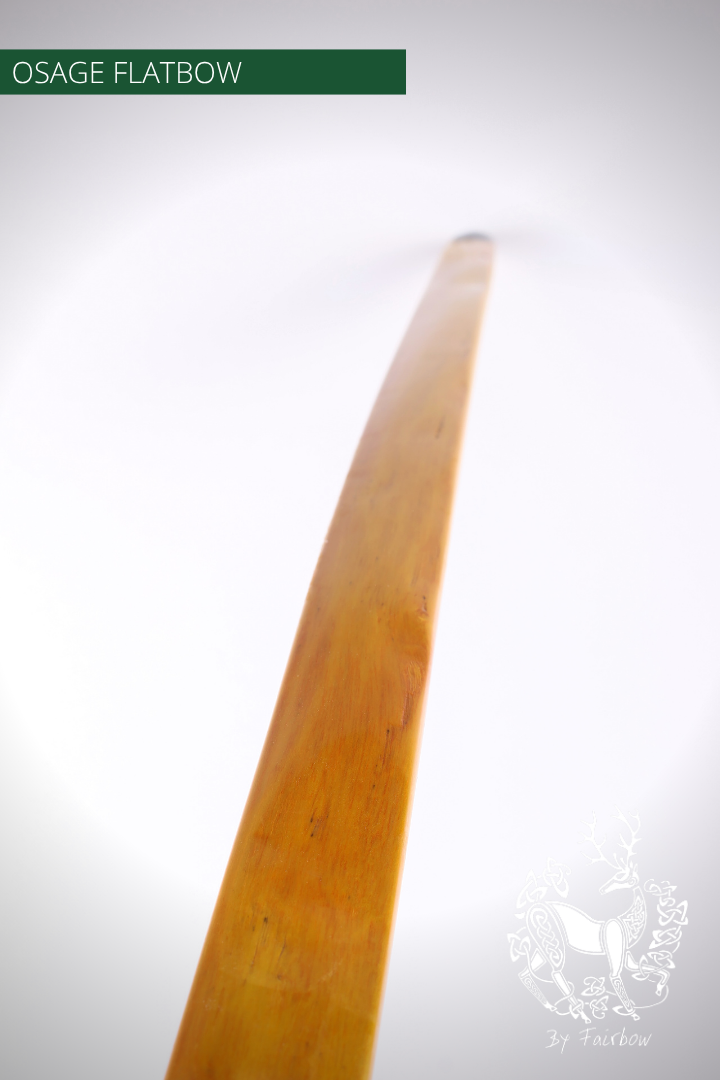 OSAGE SELFBOW, 66 INCH NTN, 45 LBS AMERICAN FLATBOW-Bow-Fairbow-Fairbow