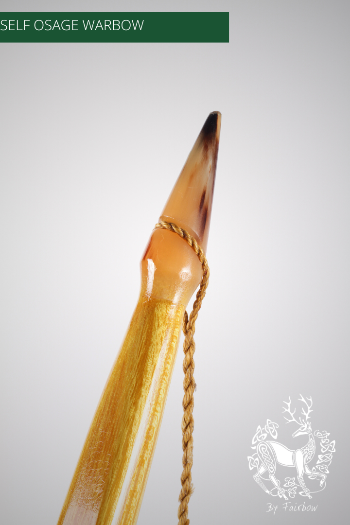 OSAGE SELFBOW,ENGLISH LONGBOW 74 INCH NTN, 101 LBS-Bow-Fairbow-Fairbow
