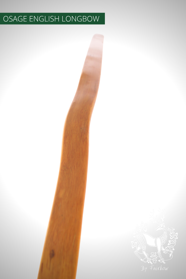 OSAGE SELFBOW,ENGLISH LONGBOW 74 INCH NTN, 58 LBS-Bow-Fairbow-Fairbow