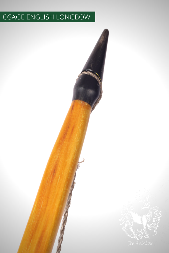 OSAGE SELFBOW,ENGLISH LONGBOW 74 INCH NTN, 64 LBS-Bow-Fairbow-Fairbow