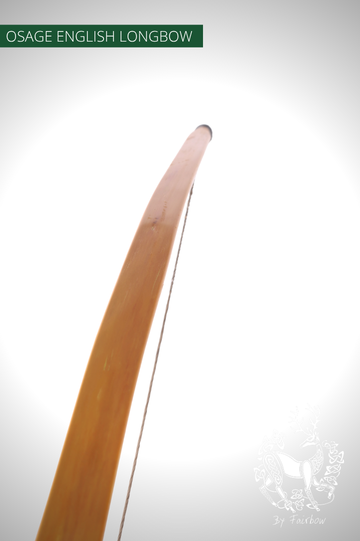 OSAGE SELFBOW,ENGLISH LONGBOW 74 INCH NTN, 64 LBS-Bow-Fairbow-Fairbow