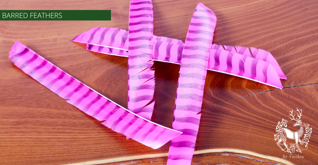 TURKEY FEATHERS BARRED AND COLORED FULL LENGTH SOLD PER DOZEN RIGHT WING-Feathers-Gateway-Red Barred-Fairbow