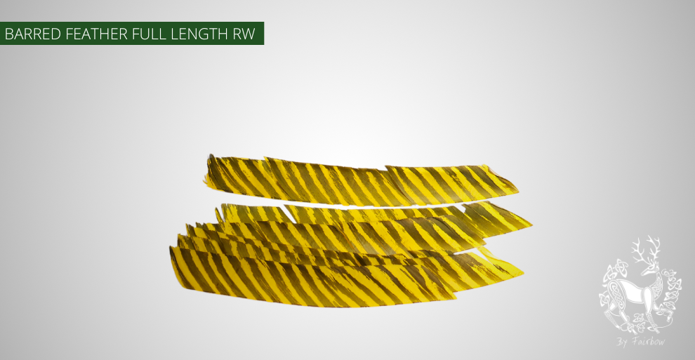 TURKEY FEATHERS BARRED AND COLORED FULL LENGTH SOLD PER DOZEN RIGHT WING-Feathers-Gateway-Yellow Thin Barred-Fairbow