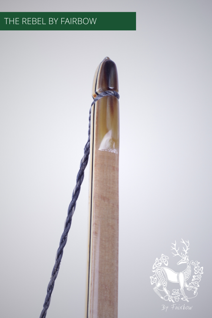 DE REBEL 50@28 TRANSPARANT GLAS MET BAMBOE  COCOBOLO EN BEUKENHOUT