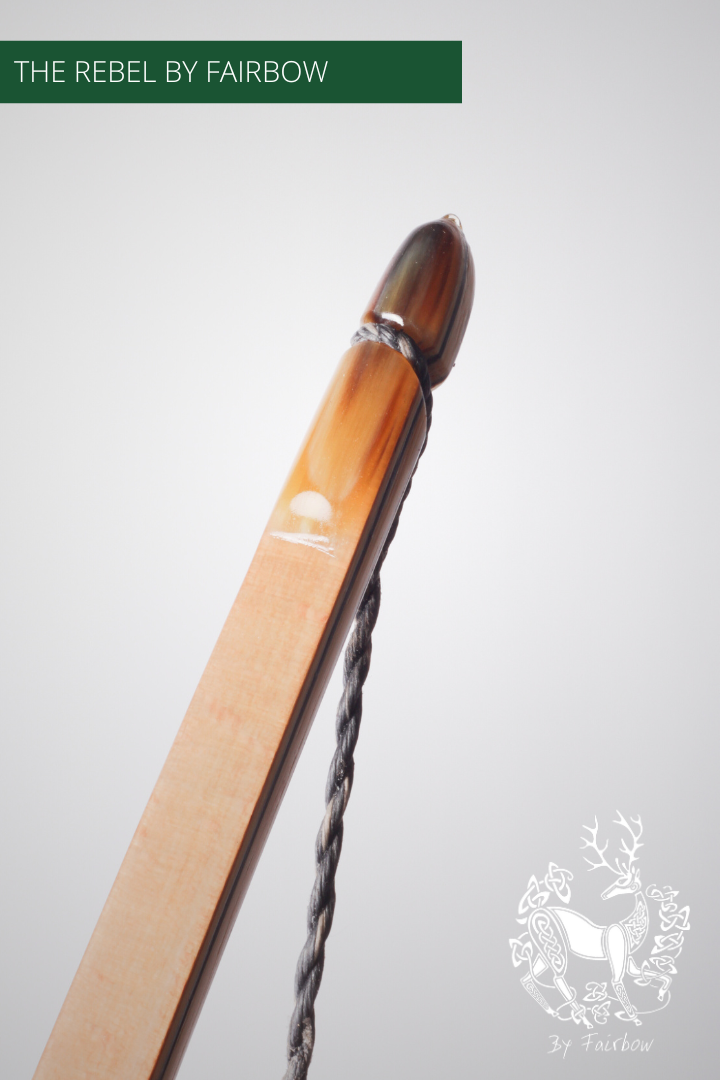 DE REBEL 50@28 TRANSPARANT GLAS MET BAMBOE  COCOBOLO EN BEUKENHOUT