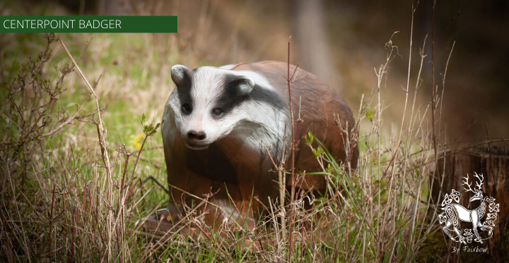 3D BADGER TARGET BY CENTERPOINT-target-Centerpoint-Fairbow