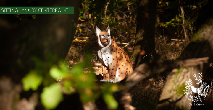 3D SITTING LYNX TARGET BY CENTERPOINT-target-Centerpoint-Fairbow