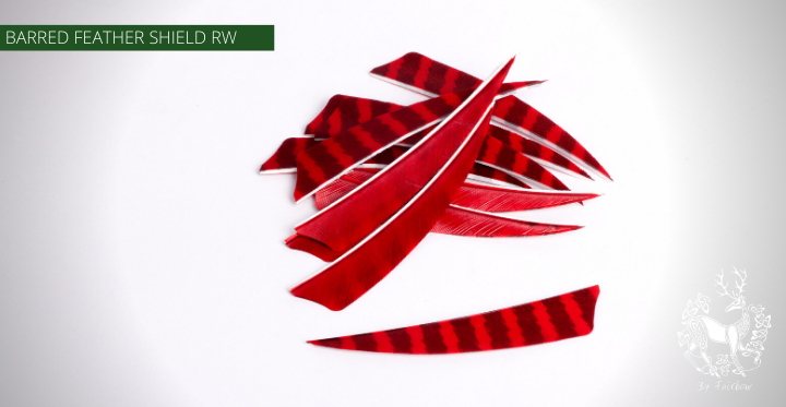 FEATHERS BARRED 4 INCH SHIELD PER DOZEN (RW)-Feathers-Fairbow-White - Black-Fairbow