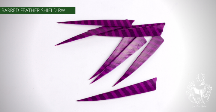 FEATHERS BARRED 5 INCH SHIELD PER DOZEN (RW)-Feathers-Fairbow-Purple - black-Fairbow
