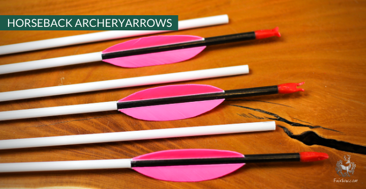 Horseback archery Arrows Set of 6-Arrow-Fairbow-Fairbow