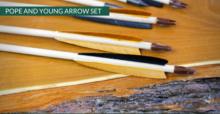 POPE AND YOUNG ARROW, SET OF 6-Arrow-Fairbow-nr 50 4 inch-Fairbow