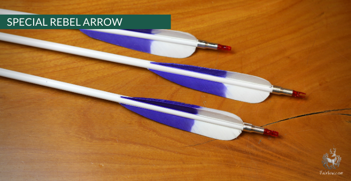REBEL ARROWS, 4.1 INCH OR 6.2 INCH HIGH PARABOLIC FEATHERS WOODEN SHAFT PLASTIC NOCK SET OF 6-Arrow-Fairbow-Fairbow